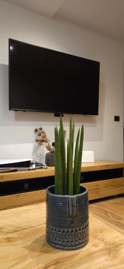 Betty Apartments Borik - Whole Ground Floor 로비니 외부 사진